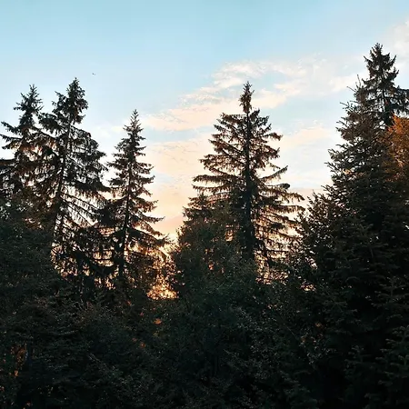 Aпартамент тити Apartment Pamporovo