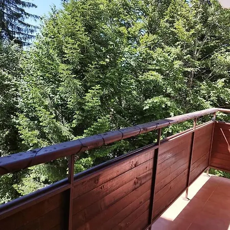 Apartment Aпартамент тити Pamporovo