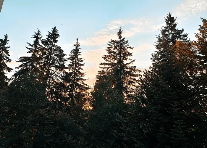 Aпартамент тити Apartment Pamporovo