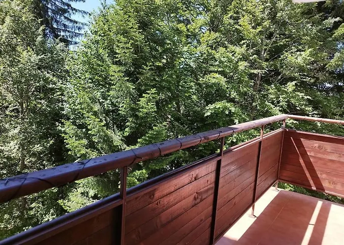 Apartment Aпартамент тити Pamporovo