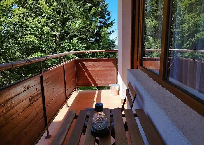 Apartment Aпартамент тити Pamporovo